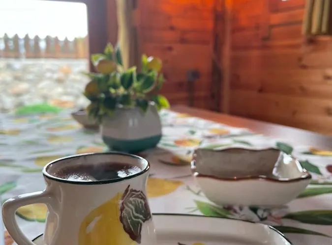 Andizalti Doga Evleri Limon Ev Villa Datca