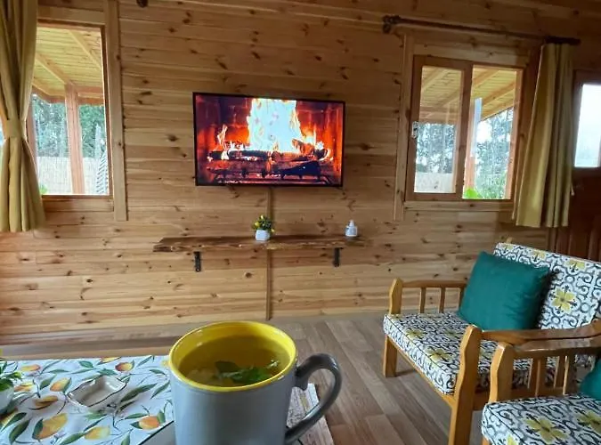 Villa Andizalti Doga Evleri Limon Ev *