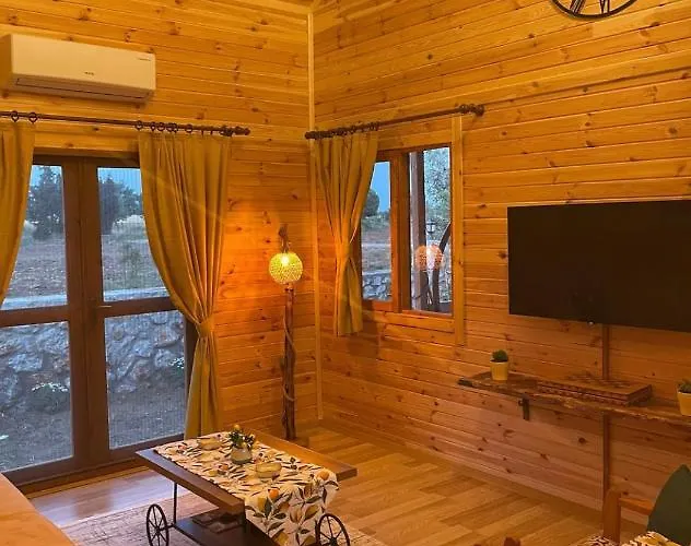Villa Andizalti Doga Evleri Limon Ev Datca