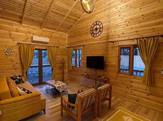 Villa Andizalti Doga Evleri Limon Ev Datca