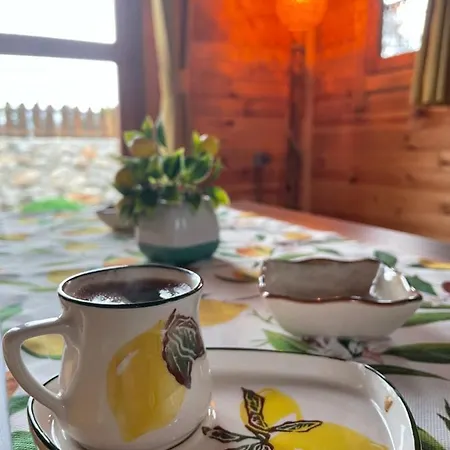 Andizalti Doga Evleri Limon Ev ヴィラ ダッチャ