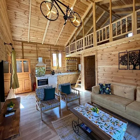 Andizalti Doga Evleri Limon Ev ヴィラ ダッチャ