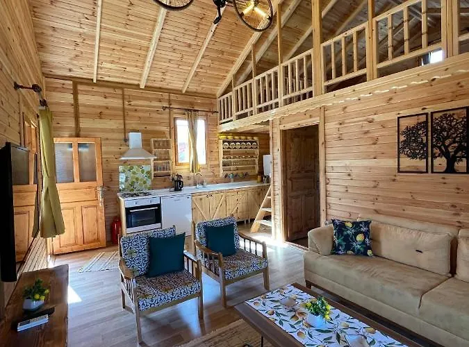 Andizalti Doga Evleri Limon Ev ヴィラ ダッチャ