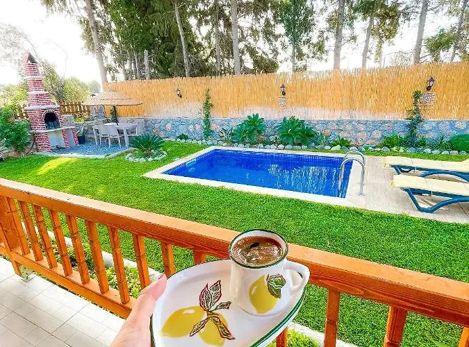 Andızaltı Doğa Evleri Limon Ev Villa *