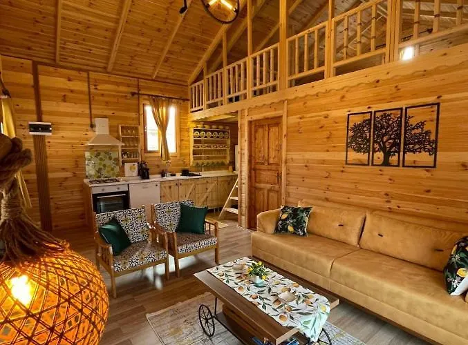 Andızaltı Doğa Evleri Limon Ev * Datça