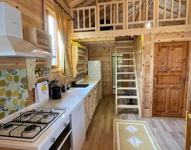 Andizalti Doga Evleri Limon Ev